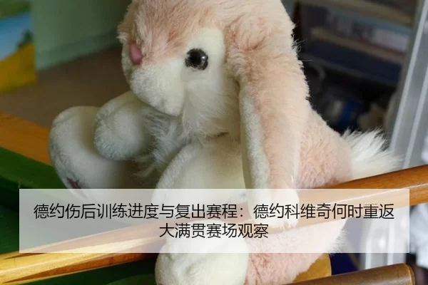 德约伤后训练进度与复出赛程：德约科维奇何时重返大满贯赛场观察